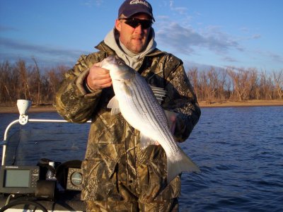 Lake Texoma striper fishing report
