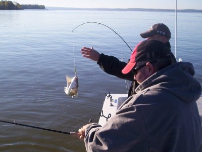 Lake Texoma striper fishing report