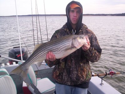 Lake Texoma striper fishing report