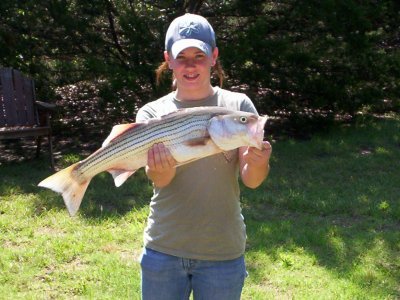 Lake Texoma striper fishing report