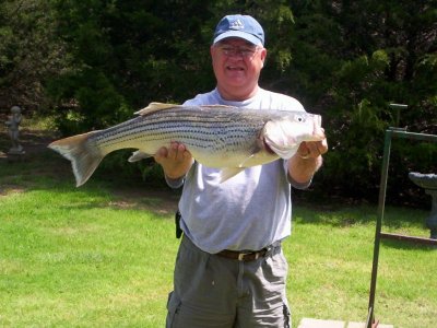 Lake Texoma striper fishing report