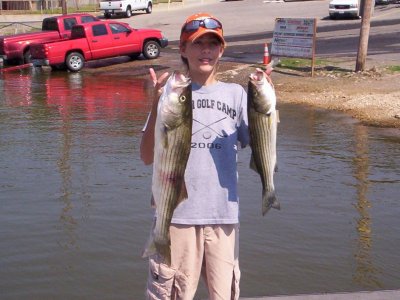 Lake Texoma striper fishing report