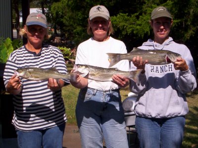 Lake Texoma striper fishing report