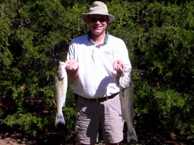 Lake Texoma striper fishing report