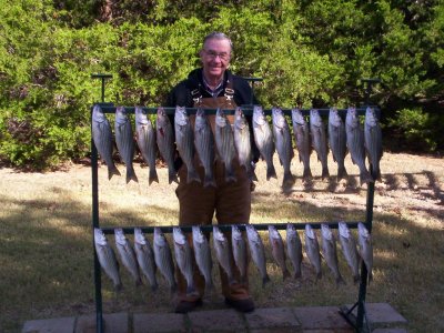 Lake Texoma striper fishing report