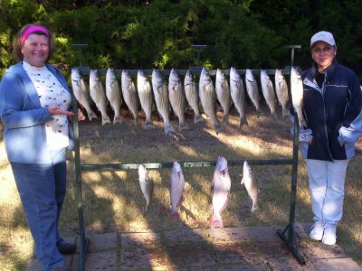 Lake Texoma striper fishing report