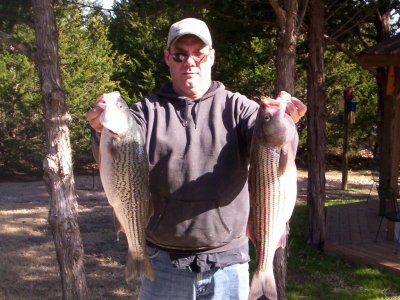 Lake Texoma striper fishing report