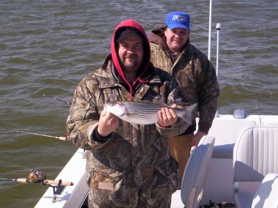 Lake Texoma striper fishing report