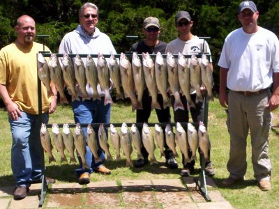 Lake Texoma striper fishing report