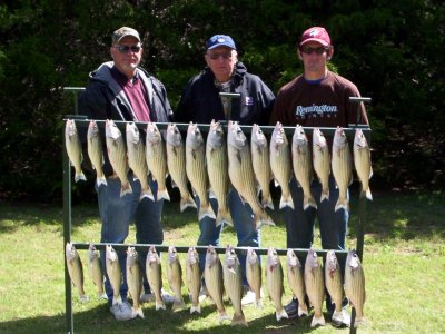 Lake Texoma striper fishing report