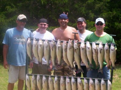 Lake Texoma striper fishing report