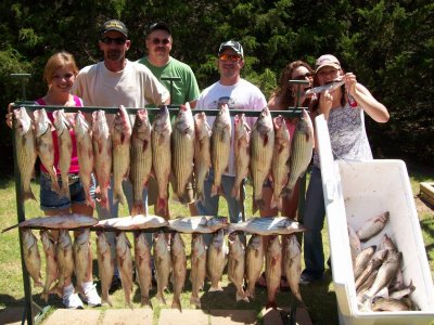 Lake Texoma striper fishing report