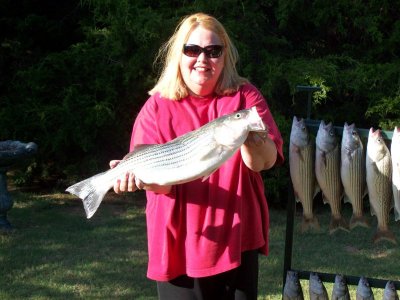 Lake Texoma striper fishing report