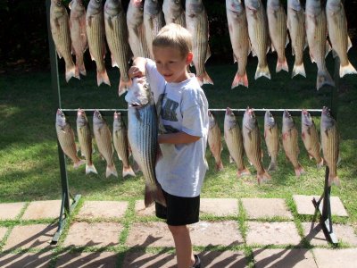 Lake Texoma striper fishing report