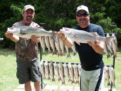 Lake Texoma striper fishing report