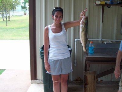 Lake Texoma striper fishing report