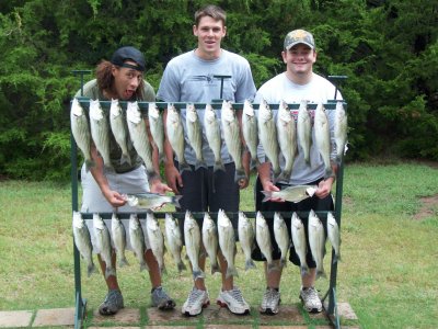 Lake Texoma striper fishing report