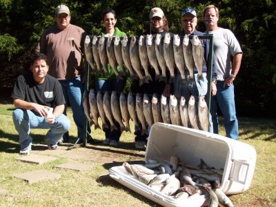 Lake Texoma striper fishing report