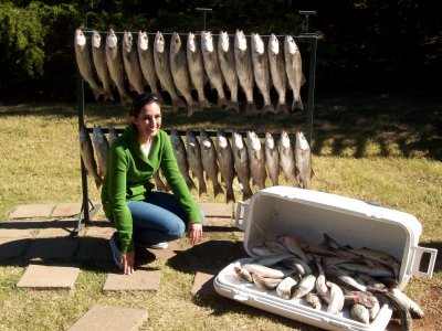 Lake Texoma striper fishing report