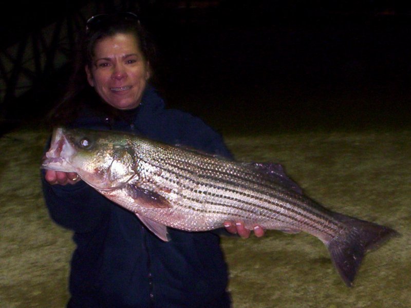 Lake Texoma striper fishing report