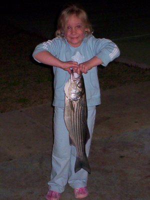 Lake Texoma striper fishing report