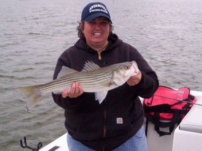 Lake Texoma striper fishing report