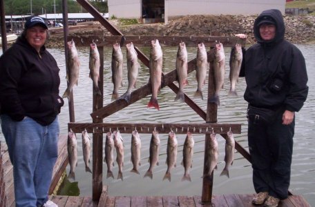 Lake Texoma striper fishing report