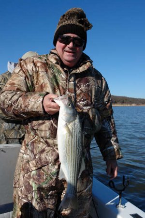Lake Texoma striper fishing report