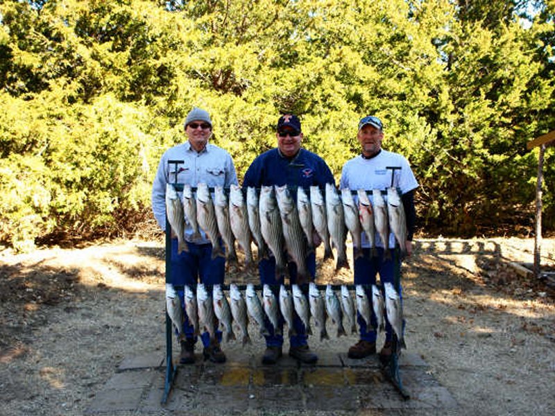 Lake Texoma striper fishing report