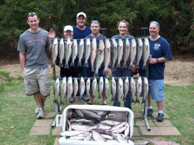 Lake Texoma striper fishing report