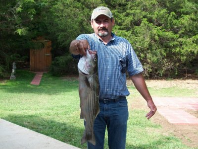 Lake Texoma striper fishing report