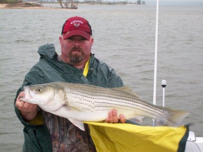 Lake Texoma striper fishing report