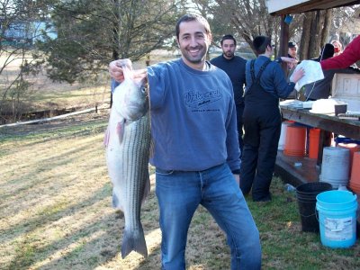 Lake Texoma striper fishing report