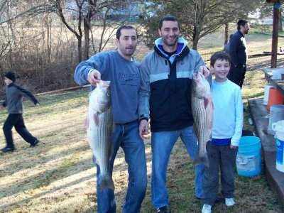 Lake Texoma striper fishing report