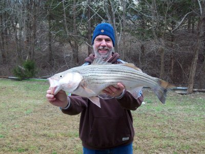 Lake Texoma striper fishing report