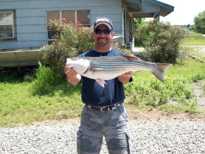 Lake Texoma striper fishing report