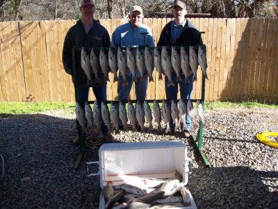 Lake Texoma striper fishing report