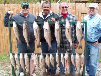 Lake Texoma striper fishing report