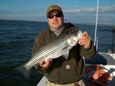 Lake Texoma striper fishing report