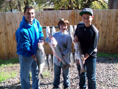 Lake Texoma striper fishing report