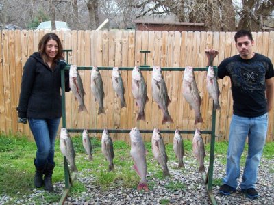 Lake Texoma striper fishing report