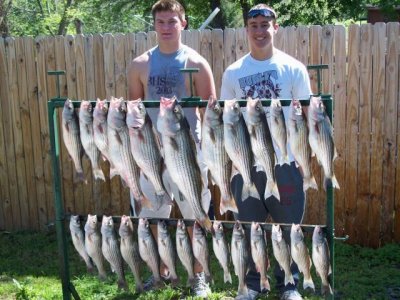 Lake Texoma striper fishing report