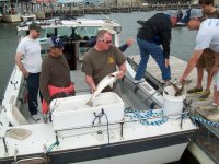 Entech 18th Annual Striper Fishing Tournament