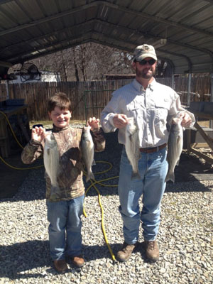 Lake Texoma striper fishing report