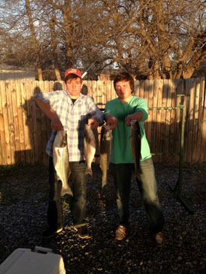 Lake Texoma striper fishing report