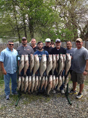 Lake Texoma striper fishing report