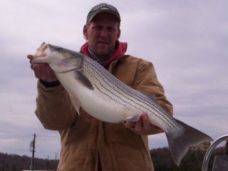 Lake Texoma Fishing for Striped Bass